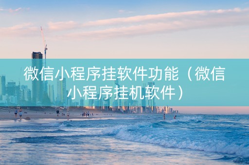 微信小程序挂软件功能（微信小程序挂机软件）
