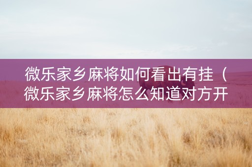 微乐家乡麻将如何看出有挂（微乐家乡麻将怎么知道对方开挂）