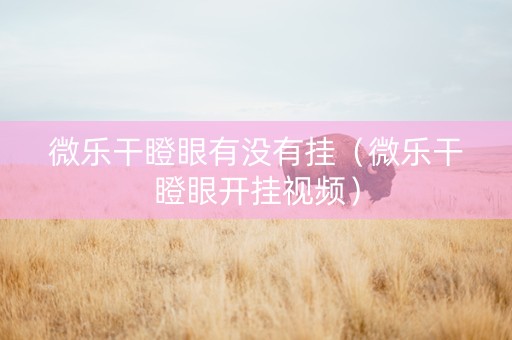 微乐干瞪眼有没有挂（微乐干瞪眼开挂视频）
