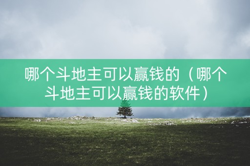 哪个斗地主可以赢钱的（哪个斗地主可以赢钱的软件）
