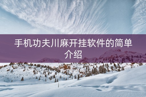 手机功夫川麻开挂软件的简单介绍