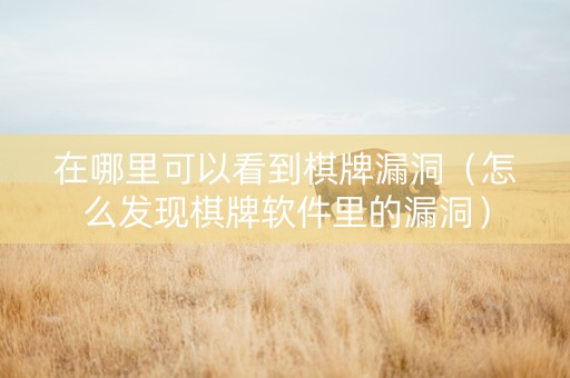 在哪里可以看到棋牌漏洞（怎么发现棋牌软件里的漏洞）