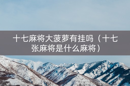 十七麻将大菠萝有挂吗（十七张麻将是什么麻将）