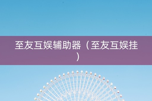 至友互娱辅助器（至友互娱挂）