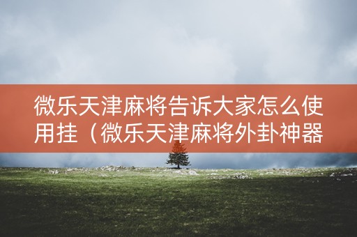 微乐天津麻将告诉大家怎么使用挂（微乐天津麻将外卦神器怎么样）