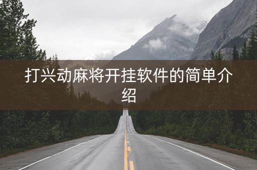 打兴动麻将开挂软件的简单介绍