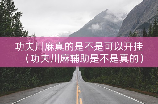 功夫川麻真的是不是可以开挂（功夫川麻辅助是不是真的）
