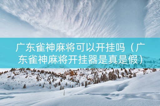 广东雀神麻将可以开挂吗（广东雀神麻将开挂器是真是假）