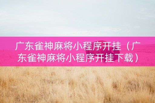 广东雀神麻将小程序开挂（广东雀神麻将小程序开挂下载）