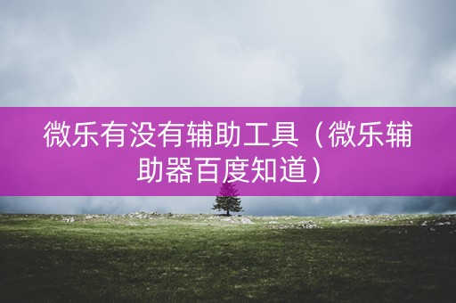 微乐有没有辅助工具（微乐辅助器百度知道）