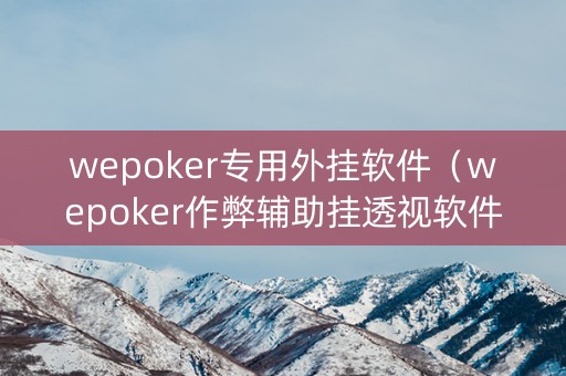 wepoker专用外挂软件（wepoker作弊辅助挂透视软件）