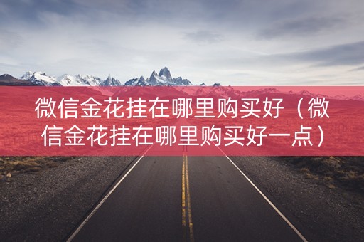 微信金花挂在哪里购买好（微信金花挂在哪里购买好一点）