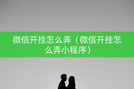 微信开挂怎么弄（微信开挂怎么弄小程序）