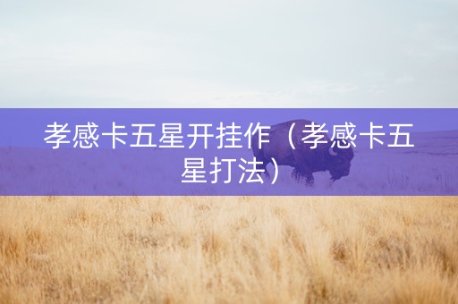 孝感卡五星开挂作（孝感卡五星打法）