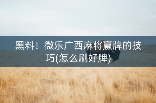 黑料！微乐广西麻将赢牌的技巧(怎么刷好牌)