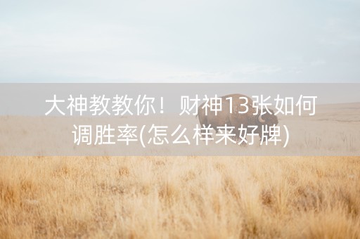 大神教教你！财神13张如何调胜率(怎么样来好牌)