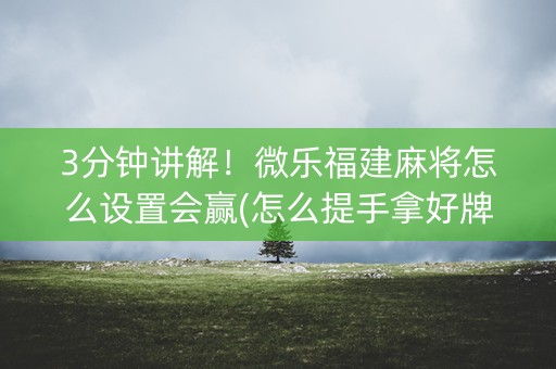 3分钟讲解！微乐福建麻将怎么设置会赢(怎么提手拿好牌)
