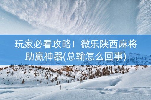 玩家必看攻略！微乐陕西麻将助赢神器(总输怎么回事)