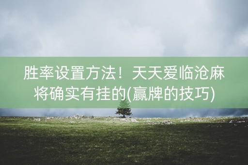 胜率设置方法！天天爱临沧麻将确实有挂的(赢牌的技巧)