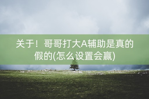 关于！哥哥打大A辅助是真的假的(怎么设置会赢)