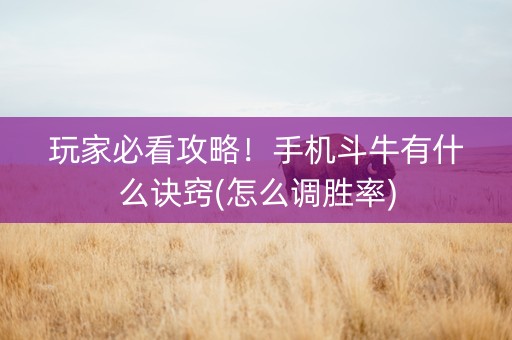 玩家必看攻略！手机斗牛有什么诀窍(怎么调胜率)