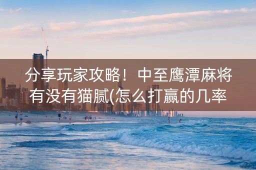 分享玩家攻略！中至鹰潭麻将有没有猫腻(怎么打赢的几率大)