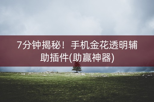 7分钟揭秘！手机金花透明辅助插件(助赢神器)