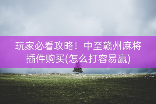 玩家必看攻略！中至赣州麻将插件购买(怎么打容易赢)