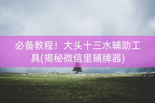 必备教程！大头十三水辅助工具(揭秘微信里辅牌器)