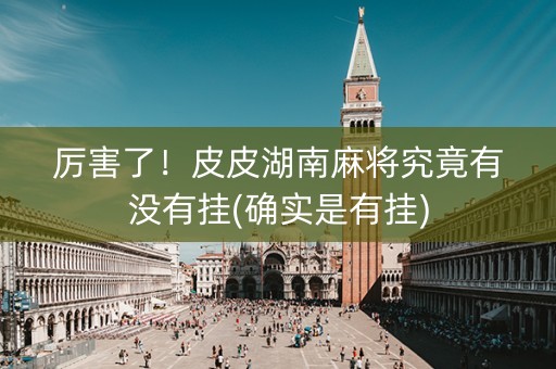 厉害了！皮皮湖南麻将究竟有没有挂(确实是有挂)
