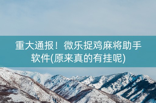 重大通报！微乐捉鸡麻将助手软件(原来真的有挂呢)
