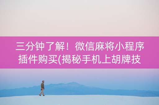 三分钟了解！微信麻将小程序插件购买(揭秘手机上胡牌技巧)