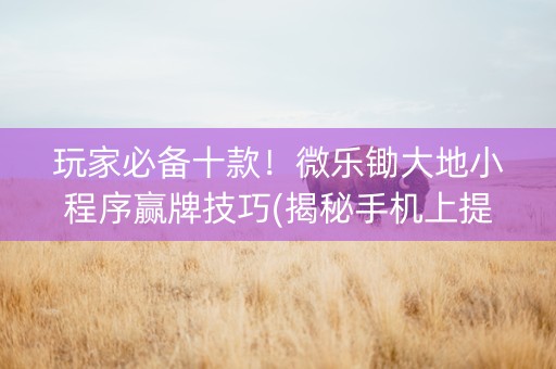 玩家必备十款！微乐锄大地小程序赢牌技巧(揭秘手机上提高胜率)