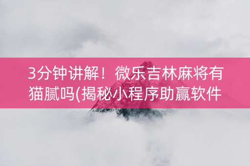 3分钟讲解！微乐吉林麻将有猫腻吗(揭秘小程序助赢软件)