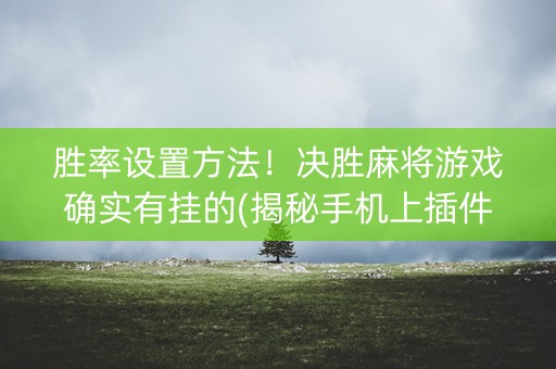 胜率设置方法！决胜麻将游戏确实有挂的(揭秘手机上插件下载)