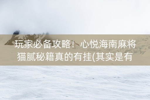 玩家必备攻略！心悦海南麻将猫腻秘籍真的有挂(其实是有挂确实有挂)
