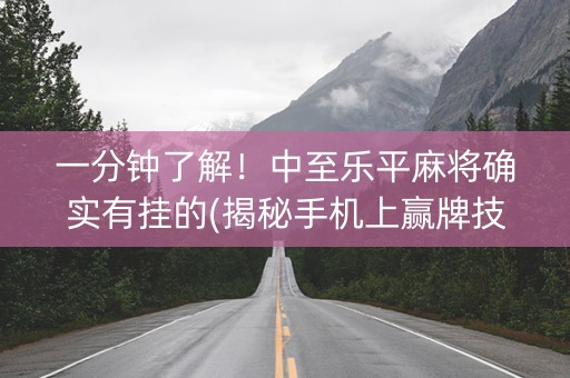 一分钟了解！中至乐平麻将确实有挂的(揭秘手机上赢牌技巧)