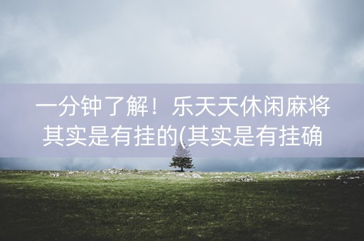 一分钟了解！乐天天休闲麻将其实是有挂的(其实是有挂确实有挂)