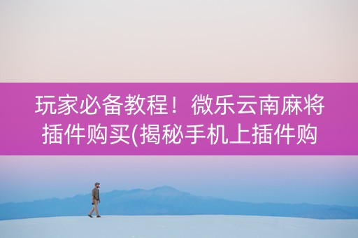 玩家必备教程！微乐云南麻将插件购买(揭秘手机上插件购买)