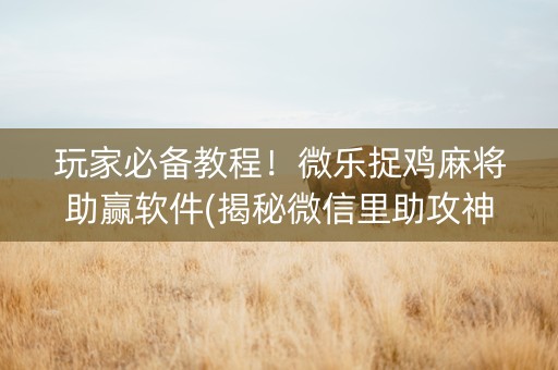 玩家必备教程！微乐捉鸡麻将助赢软件(揭秘微信里助攻神器)