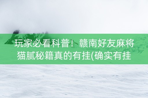 玩家必看科普！赣南好友麻将猫腻秘籍真的有挂(确实有挂)