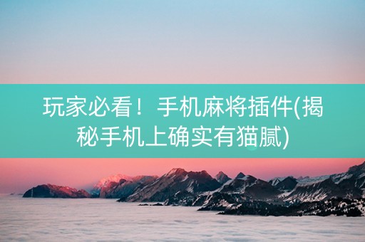 玩家必看！手机麻将插件(揭秘手机上确实有猫腻)