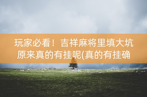 玩家必看！吉祥麻将里填大坑原来真的有挂呢(真的有挂确实有挂)