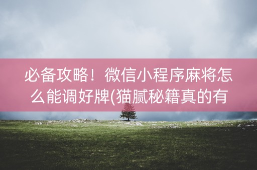 必备攻略！微信小程序麻将怎么能调好牌(猫腻秘籍真的有挂)