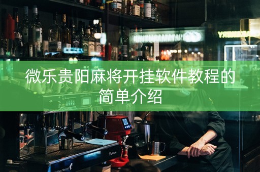 微乐贵阳麻将开挂软件教程的简单介绍