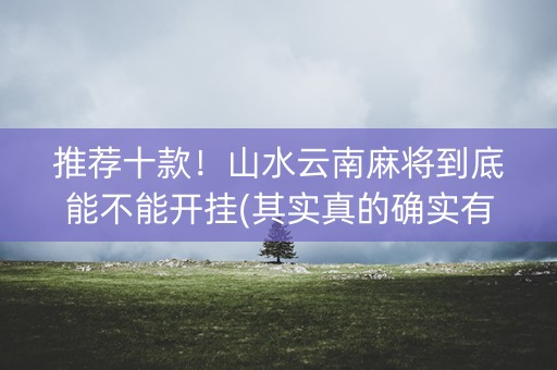 推荐十款！山水云南麻将到底能不能开挂(其实真的确实有挂)