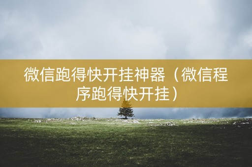 微信跑得快开挂神器（微信程序跑得快开挂）