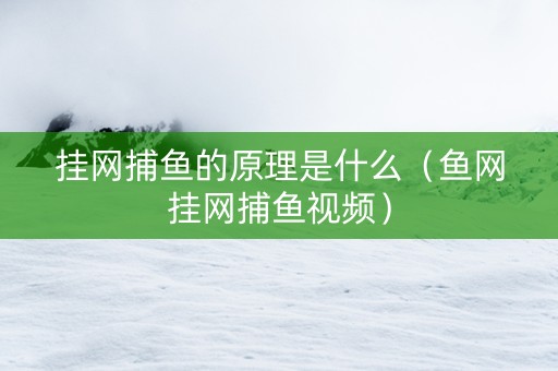 挂网捕鱼的原理是什么（鱼网挂网捕鱼视频）