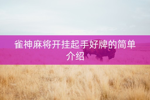 雀神麻将开挂起手好牌的简单介绍