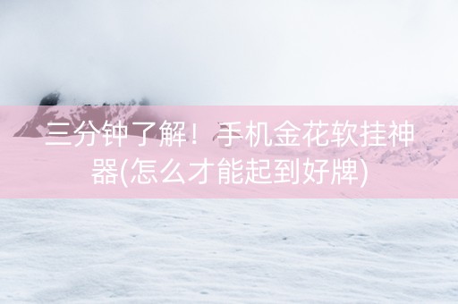 三分钟了解！手机金花软挂神器(怎么才能起到好牌)